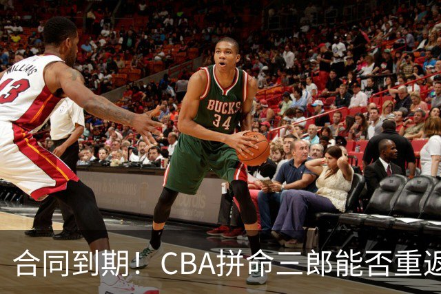 合同到期！CBA拼命三郎能否重返广东？期待辅佐徐杰、胡明轩